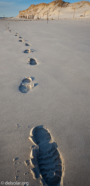 Canon EOS 5D Mark II  --  20 mm  --  12-24mm  