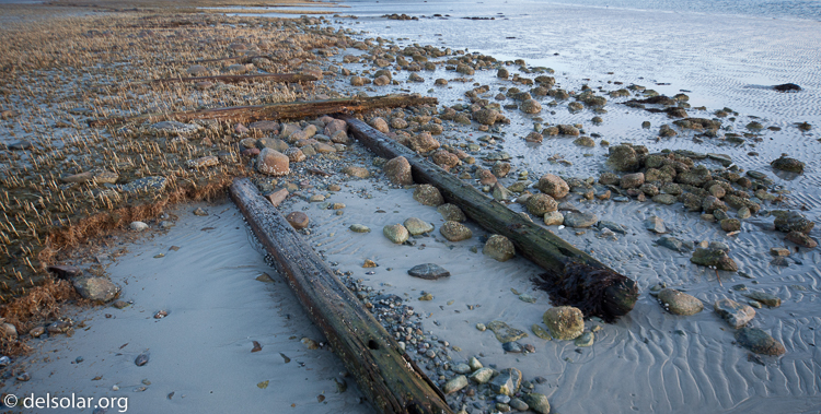 Canon EOS 5D Mark II  --  24 mm  --  12-24mm  