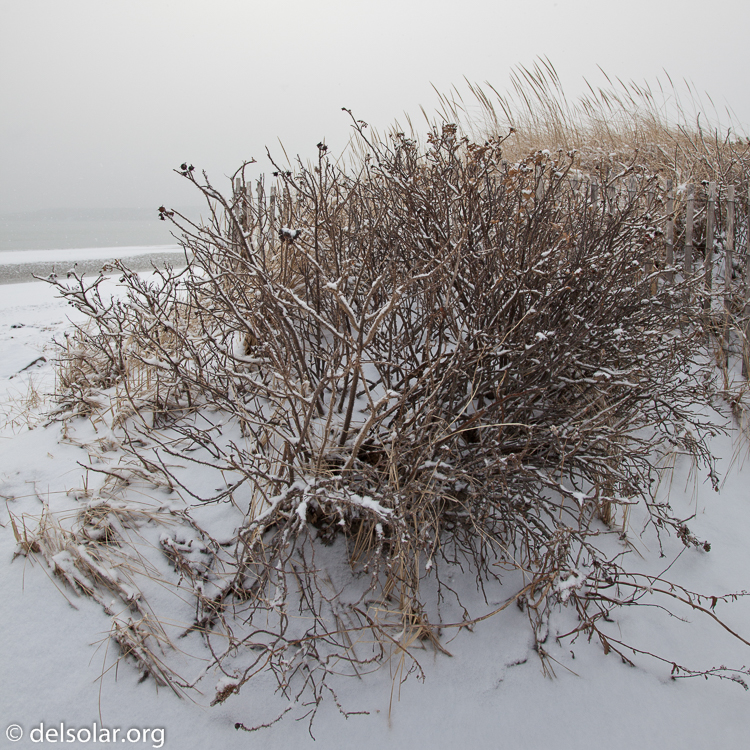 Canon EOS 5D Mark II  --  24 mm  --  EF24-105mm f/4L IS USM  