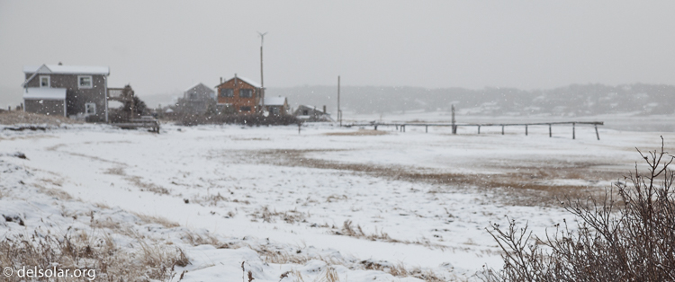 Canon EOS 5D Mark II  --  65 mm  --  EF24-105mm f/4L IS USM  