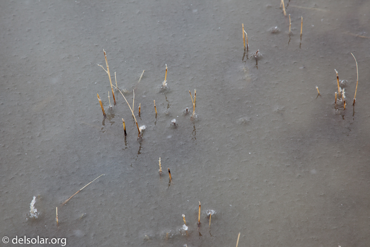 Canon EOS 5D Mark II  --  105 mm  --  EF24-105mm f/4L IS USM  