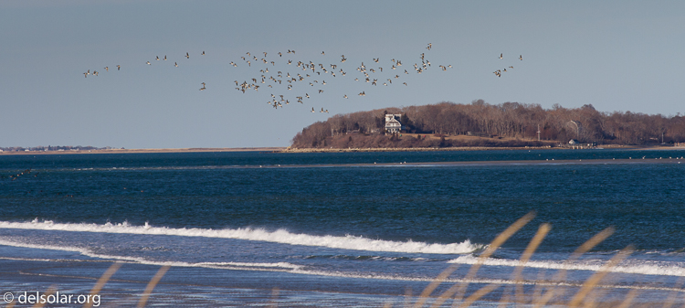 Canon EOS 7D  --  200 mm  --  EF70-200mm f/4L USM  