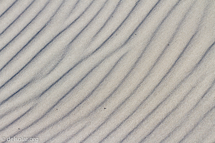 Canon EOS 7D  --  126 mm  --  EF70-200mm f/4L USM  