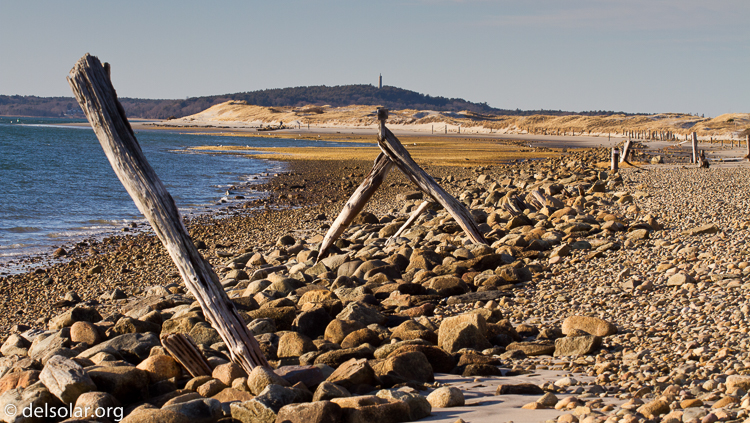 Canon EOS 7D  --  98 mm  --  EF70-200mm f/4L USM  