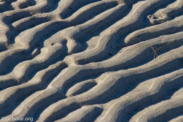 Canon EOS 7D  --  184 mm  --  EF70-200mm f/4L USM  