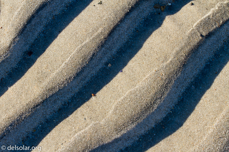 Canon EOS 7D  --  78 mm  --  EF70-200mm f/4L USM  