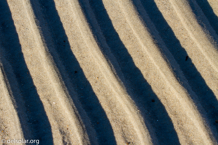 Canon EOS 7D  --  75 mm  --  EF70-200mm f/4L USM  