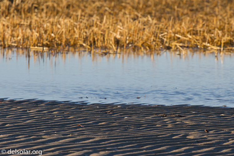 Canon EOS 7D  --  200 mm  --  EF70-200mm f/4L USM  