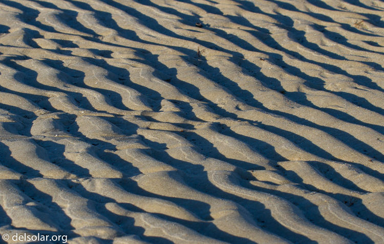 Canon EOS 7D  --  70 mm  --  EF70-200mm f/4L USM  