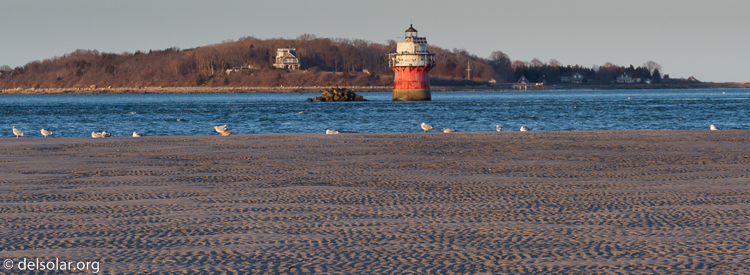 Canon EOS 7D  --  140 mm  --  EF70-200mm f/4L USM  