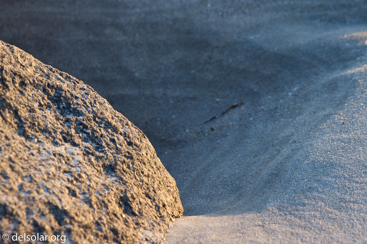 Canon EOS 7D  --  200 mm  --  EF70-200mm f/4L USM  