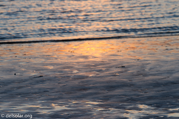 Canon EOS 7D  --  149 mm  --  EF70-200mm f/4L USM  