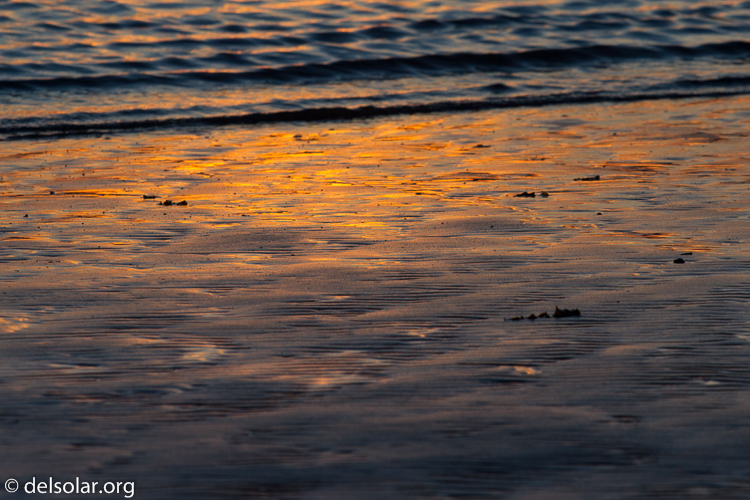 Canon EOS 7D  --  200 mm  --  EF70-200mm f/4L USM  