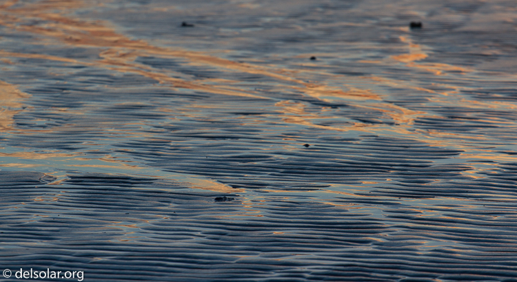 Canon EOS 7D  --  200 mm  --  EF70-200mm f/4L USM  