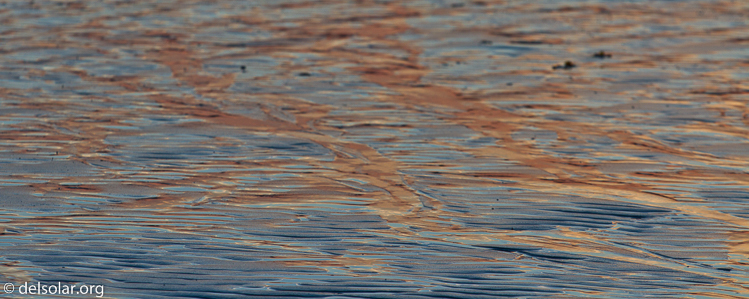 Canon EOS 7D  --  188 mm  --  EF70-200mm f/4L USM  