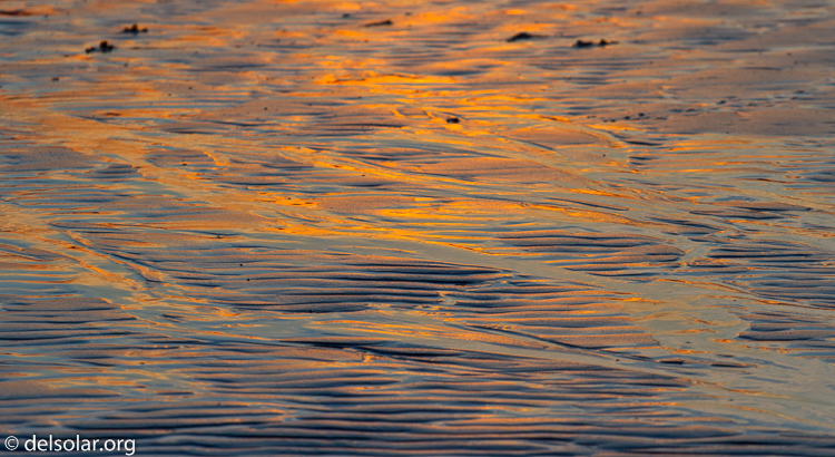 Canon EOS 7D  --  180 mm  --  EF70-200mm f/4L USM  