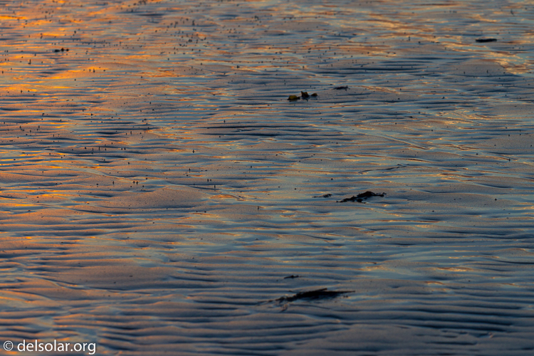 Canon EOS 7D  --  135 mm  --  EF70-200mm f/4L USM  