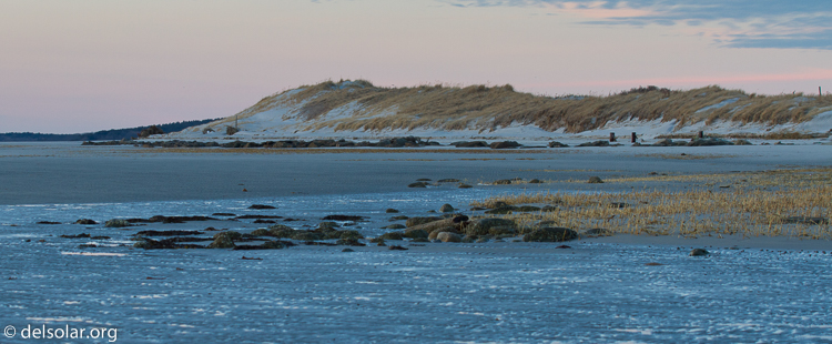 Canon EOS 7D  --  73 mm  --  EF70-200mm f/4L USM  