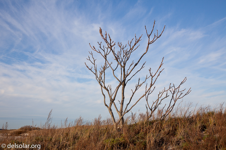 Canon EOS 5D Mark II  --  55 mm  --  EF24-105mm f/4L IS USM  