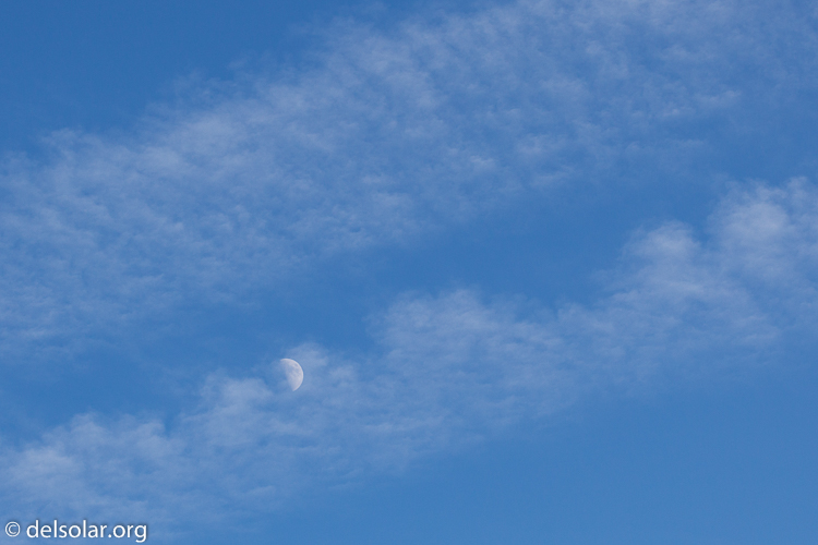 Canon EOS 5D Mark II  --  100 mm  --  EF100mm f/2.8 Macro USM  