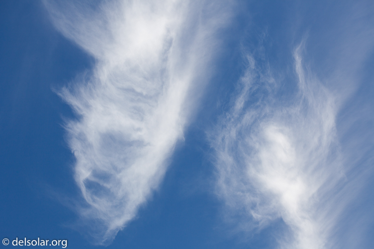 Canon EOS 5D Mark II  --  100 mm  --  EF100mm f/2.8 Macro USM  