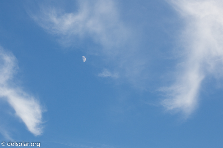 Canon EOS 5D Mark II  --  100 mm  --  EF100mm f/2.8 Macro USM  