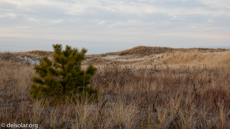 Canon EOS 5D Mark II  --  50 mm  --  EF24-105mm f/4L IS USM  