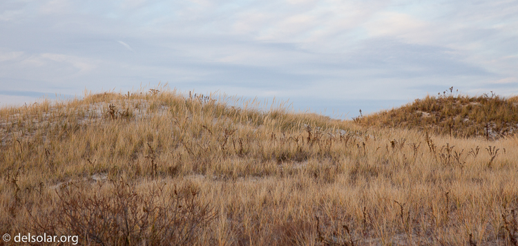 Canon EOS 5D Mark II  --  80 mm  --  EF24-105mm f/4L IS USM  