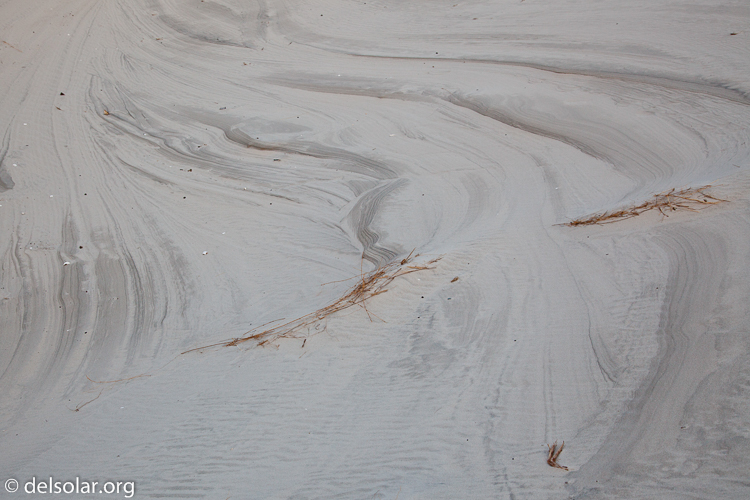 Canon EOS 5D Mark II  --  45 mm  --  EF24-105mm f/4L IS USM  