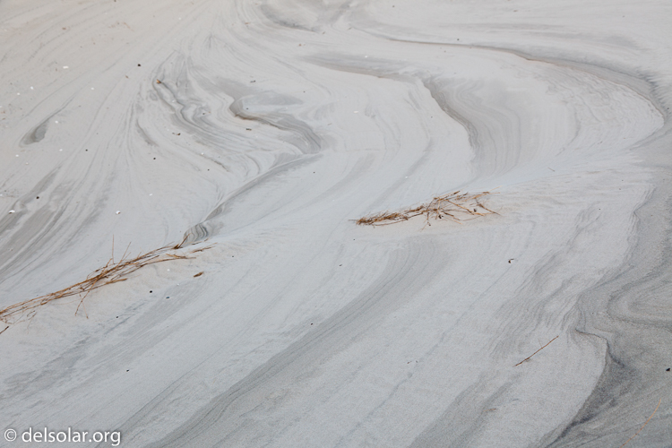 Canon EOS 5D Mark II  --  40 mm  --  EF24-105mm f/4L IS USM  