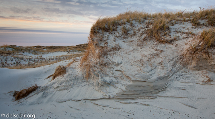 Canon EOS 5D Mark II  --  35 mm  --  EF24-105mm f/4L IS USM  