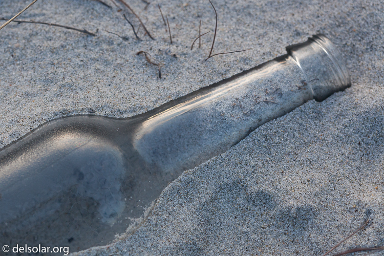 Canon EOS 5D Mark II  --  100 mm  --  EF100mm f/2.8 Macro USM  