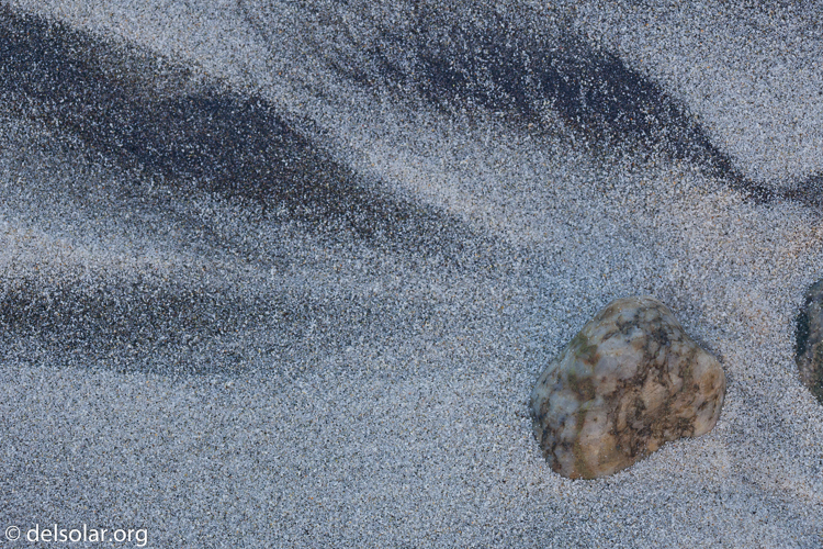 Canon EOS 5D Mark II  --  100 mm  --  EF100mm f/2.8 Macro USM  