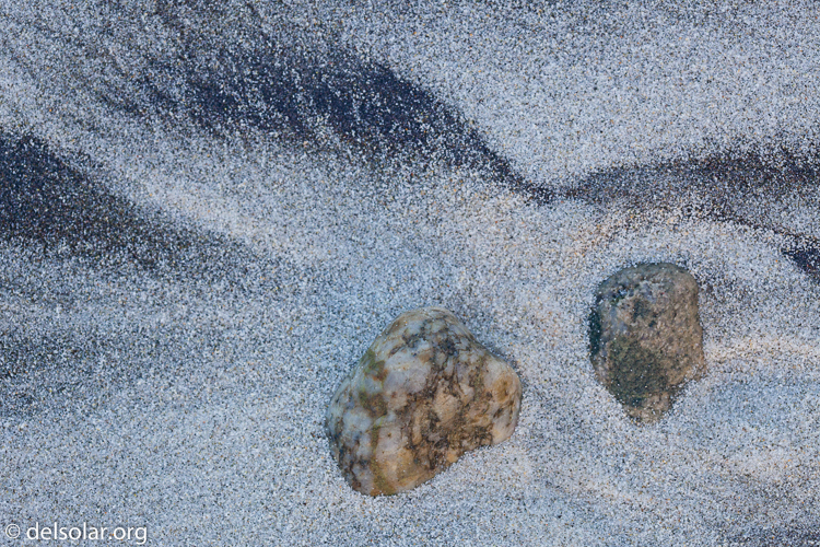 Canon EOS 5D Mark II  --  100 mm  --  EF100mm f/2.8 Macro USM  