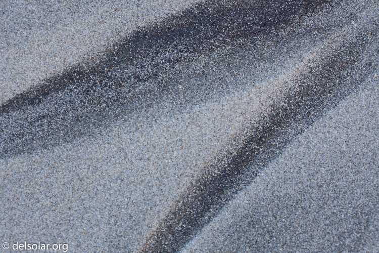 Canon EOS 5D Mark II  --  100 mm  --  EF100mm f/2.8 Macro USM  