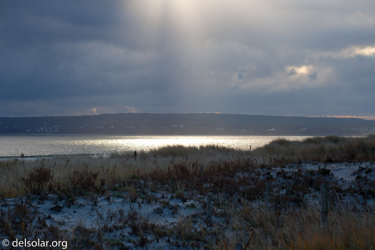 Canon EOS 5D Mark II  --  100 mm  --  EF100mm f/2.8 Macro USM  