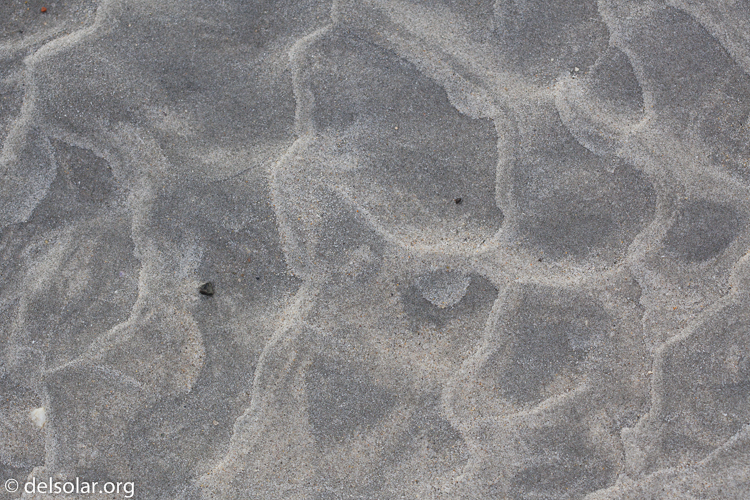 Canon EOS 5D Mark II  --  100 mm  --  EF100mm f/2.8 Macro USM  