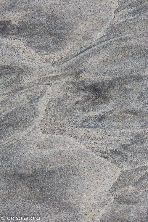 Canon EOS 5D Mark II  --  100 mm  --  EF100mm f/2.8 Macro USM  