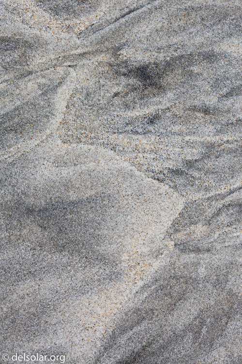 Canon EOS 5D Mark II  --  100 mm  --  EF100mm f/2.8 Macro USM  