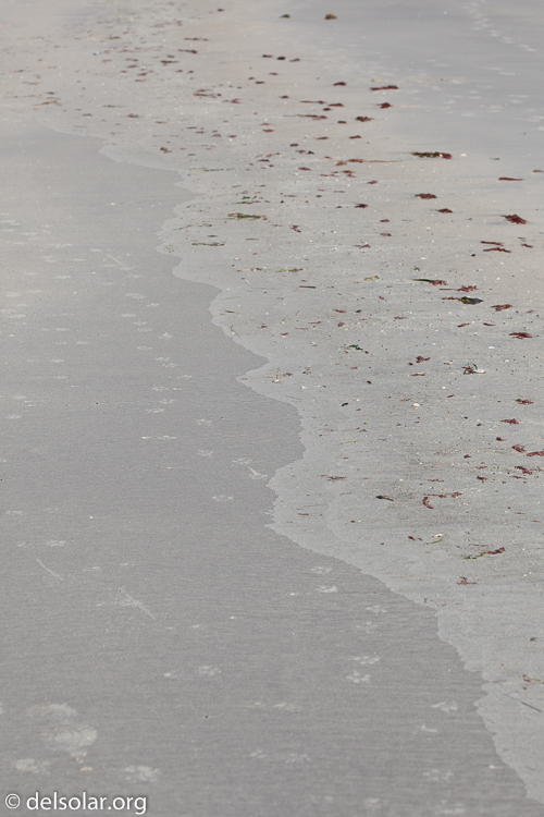 Canon EOS 5D Mark II  --  100 mm  --  EF100mm f/2.8 Macro USM  