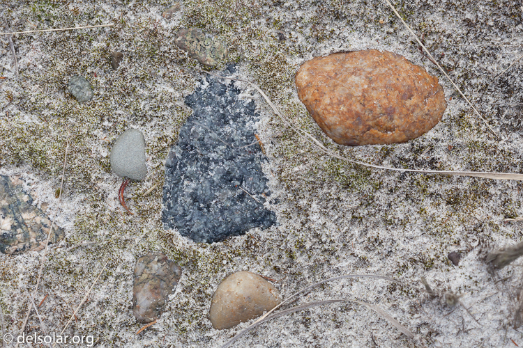 Canon EOS 5D Mark II  --  100 mm  --  EF100mm f/2.8 Macro USM  