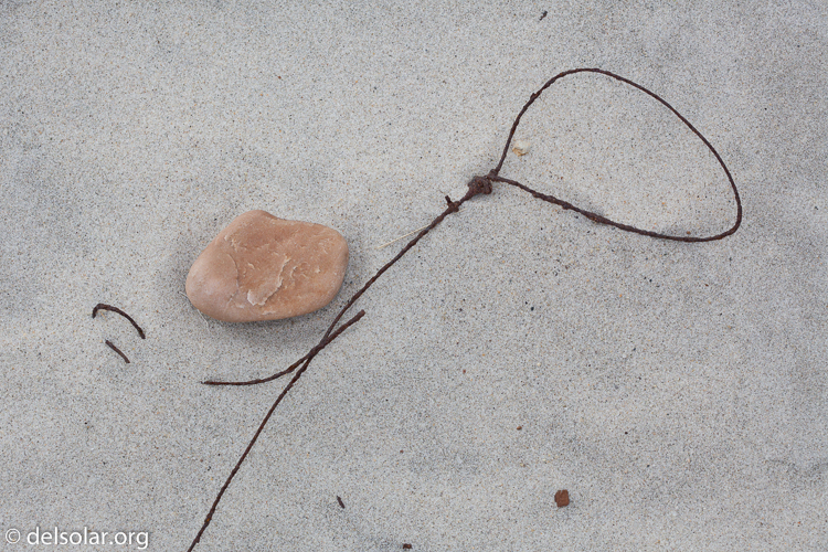 Canon EOS 5D Mark II  --  100 mm  --  EF100mm f/2.8 Macro USM  