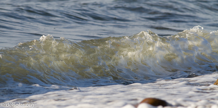 Canon EOS 7D  --  400 mm  --  EF400mm f/5.6L USM  