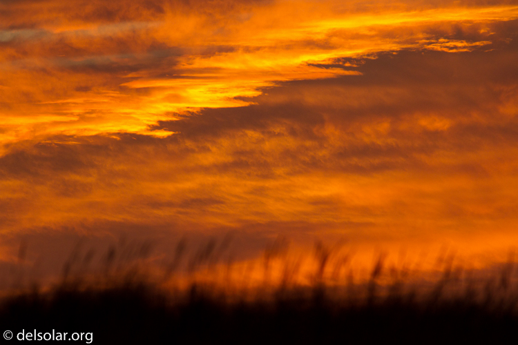 Canon EOS 7D  --  400 mm  --  EF400mm f/5.6L USM  