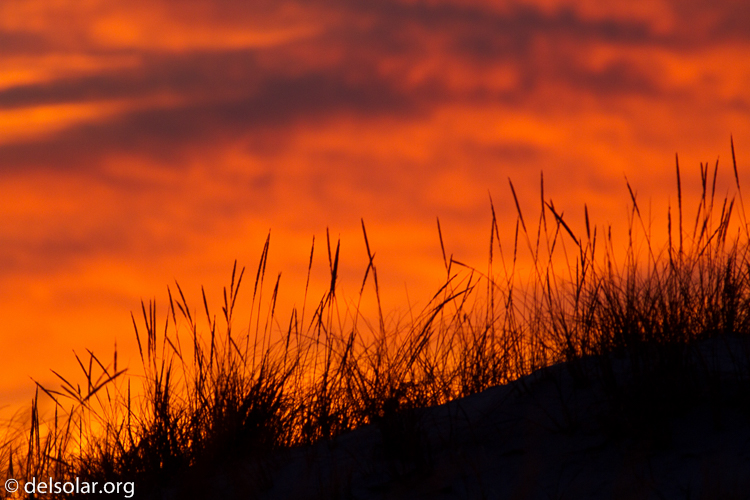 Canon EOS 7D  --  400 mm  --  EF400mm f/5.6L USM  