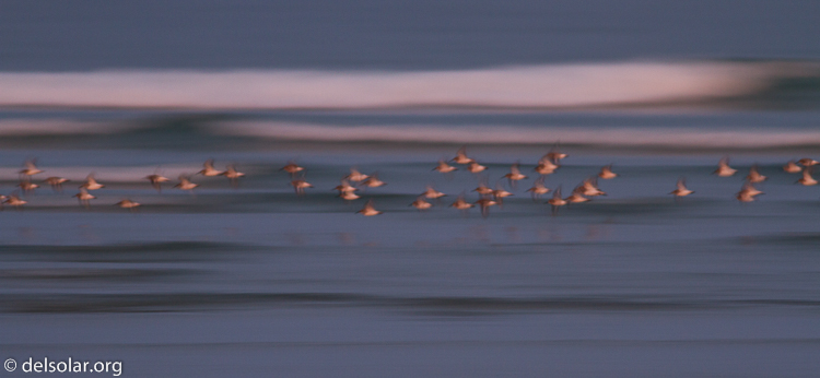 Canon EOS 7D  --  400 mm  --  EF400mm f/5.6L USM  