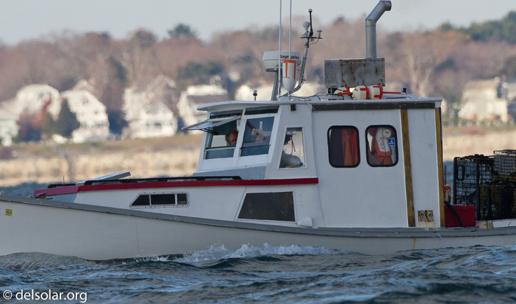 Canon EOS 7D  --  500 mm  --  EF500mm f/4L IS USM  