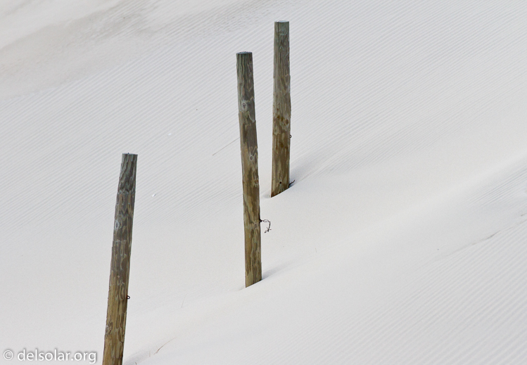 Canon EOS 7D  --  500 mm  --  EF500mm f/4L IS USM  