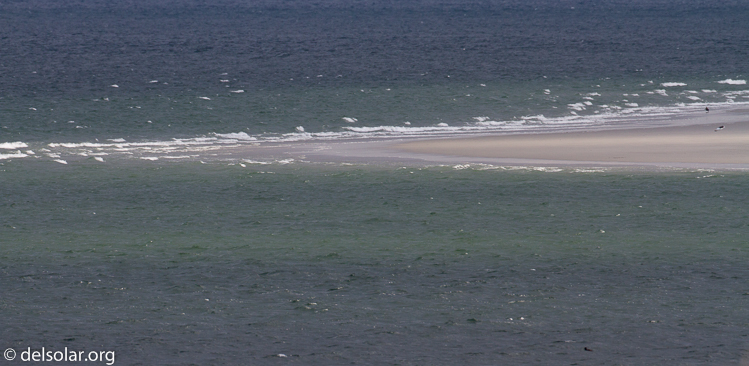 Canon EOS 7D  --  500 mm  --  EF500mm f/4L IS USM  