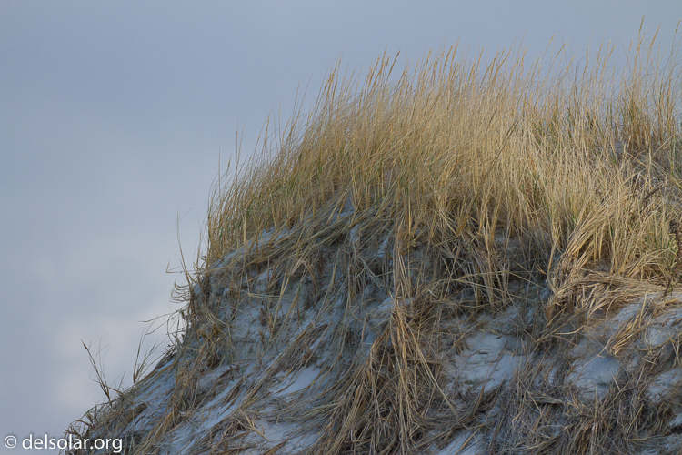 Canon EOS 7D  --  500 mm  --  EF500mm f/4L IS USM  